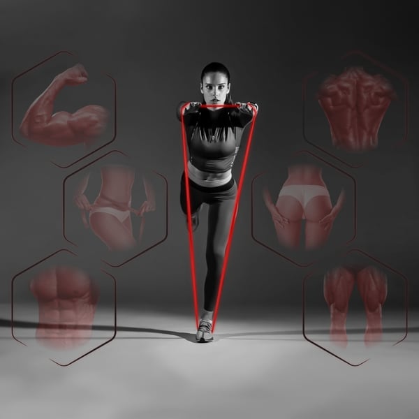 Sæt med 3 træningsbånd i latex - modstandsbånd - powerband