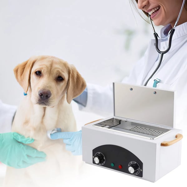 Sterilizer Skab, Tør Varme Desinfektion, Justerbare Temperaturindstillinger,EU stik