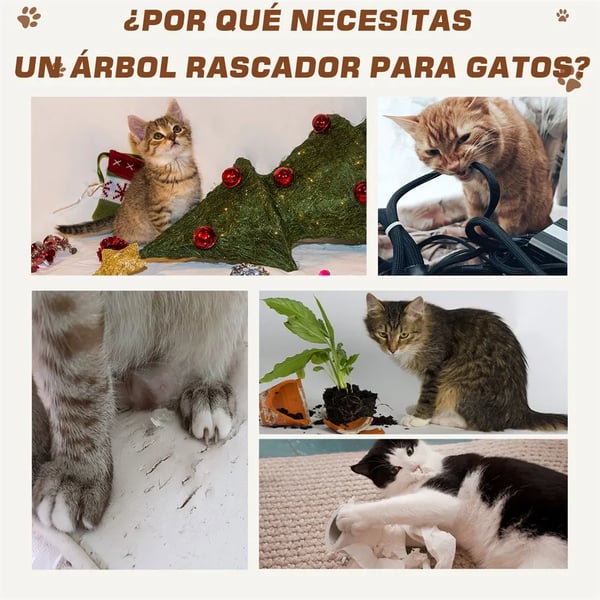Kattträd, Trämaterial, Dubbla nivåer