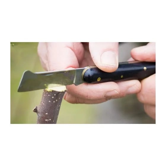Grafting Knife, Rustfrit Hærdet Stål, Bronze Pick, 20 cm Længde, 3 cm Klinge Bredde, 150 gram Vægt