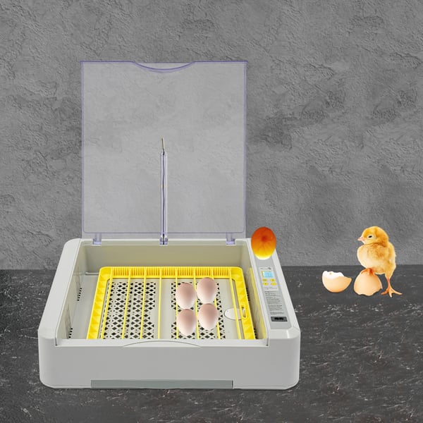 Ägginkubator, Automatisk Temperaturkontroll, LED-display,GRÅ