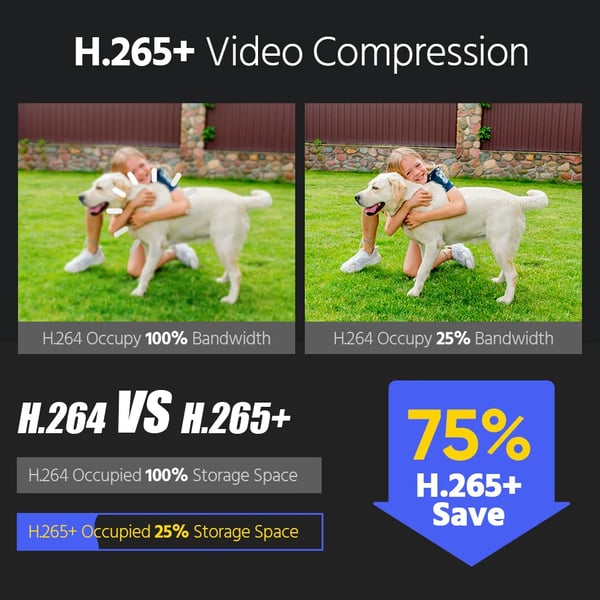 Netværkskamera, 12 Megapixel, 2,8 mm Linse, IP67 Vandtæt Vurdering, Smart Nattesyn, H.265+ Kompression