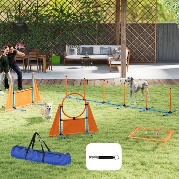 Agility Kit, 6-delt sæt, spring og slalom,348X66X69 cm, Appelsin