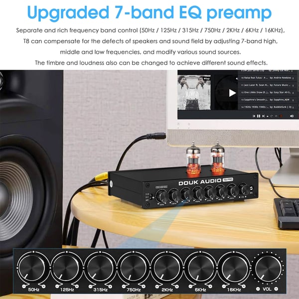 Equalizer Forstærker, 7-bånd EQ, Vakuumrør Teknologi, 2 Kanal Udgange, Kompatibel med XLR og RCA, CE Certificeret