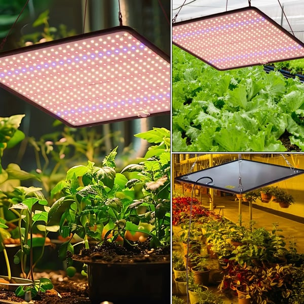 LED-kasvivalo, täysivalo, energiatehokas, 2 kpl