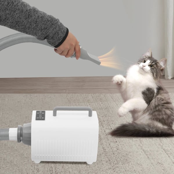 Hundehår Tørretumbler, 2100W Effekt, Temperaturindstillingsområde 25-60℃, Maksimal motorhastighed 120000rpm, Dimensioner 18*29*16.5cm