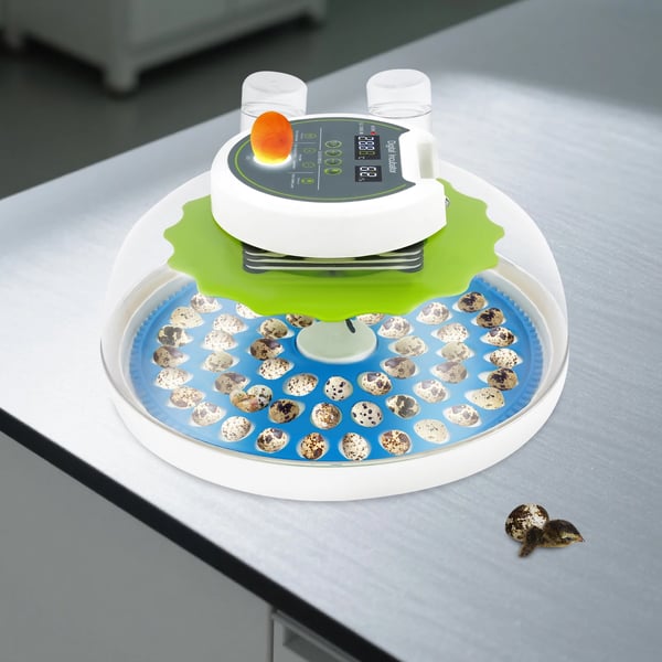 Ägginkubator, Automatisk Vattentillförsel, Temperaturkontroll,grön