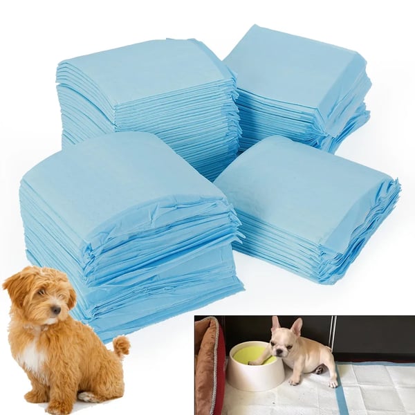 Kæledyr Urin Pad, Super Absorberende, 100 Stykker, Nem at Bruge