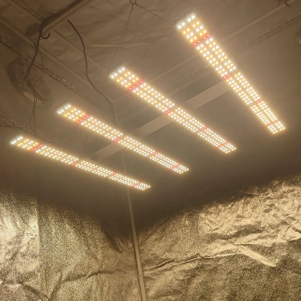 240W Full Spectrum Plant Lighting, Extended Coverage Area, Energy Efficient, 240W