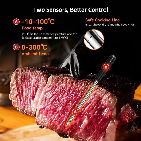 Trådløs BBQ Termometer,INT-21-B