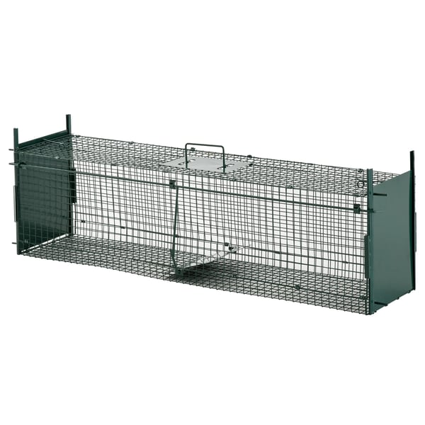 Levende dyrefælde, stålmateriale, dimensioner 100 cm x 25 cm x 28 cm, egnet til små til mellemstore dyr, værktøjsfri samling, letvægtsdesign