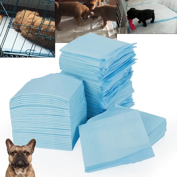 Kæledyr Urin Pad, Super Absorberende, 100 Stykker, Nem at Bruge