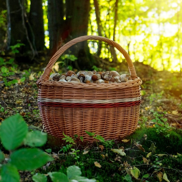 Flettet kurv, Naturlig flettede, Dimensioner: 43 x 30 x 43 cm, Dimensioner: 44 x 41 x 25,5 cm, Dimensioner: 36 x 27 x 28,5 cm
