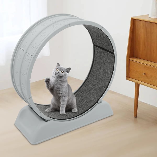 Katte Træningshjul, 80 cm Diameter, 10 kg Kapacitet, 79 x 34 x 84 cm Størrelse, Ultra-Stille Design, Sikkerhedslås