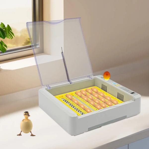 Ägginkubator, Automatisk Temperaturkontroll, LED-display,GRÅ