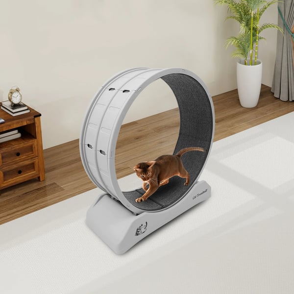 Træningshjul til katte og små hunde, indendørs brug, kompakt design,Grå