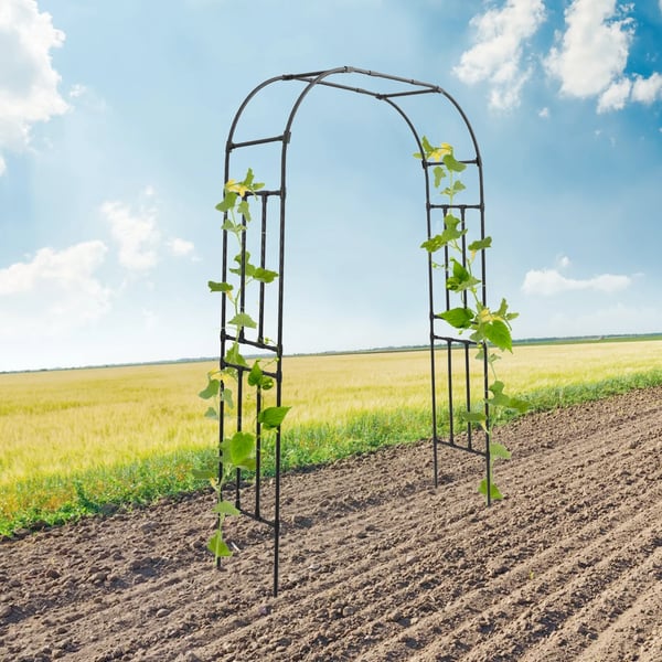 Havebue Trellis, Fritstående Design, Dekorativ Snoet Mønster,sort