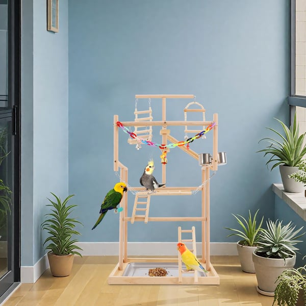 Fuglelegeplads, Bøgetræ, 48*33.5*94.5 cm, Egnet til Små og Mellemstore Fugle, Moderne Design, Samling Påkrævet