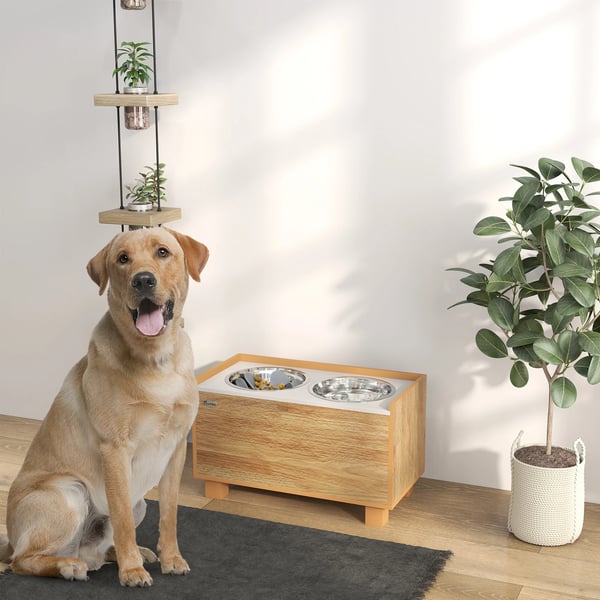 Hundmatare, Höjd Design, Avtagbar Långsam Matare,Ek, 60X30X35.5 cm