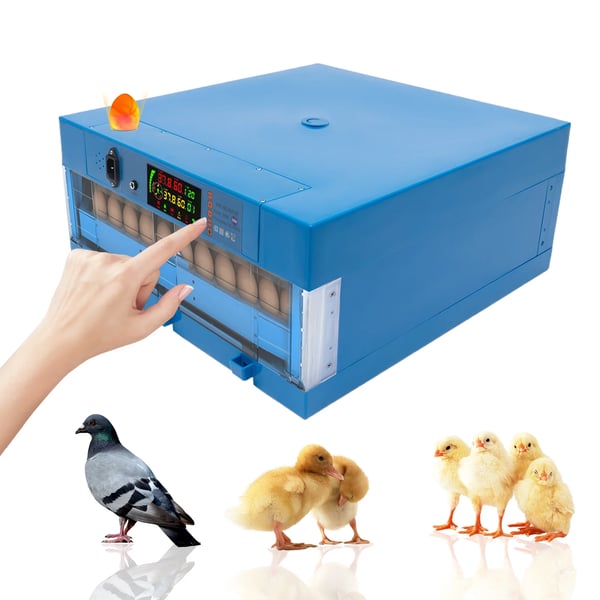 Æg Inkubator, Automatisk Æg Drejning, Temperaturkontrol,48x48x21cm, Blå
