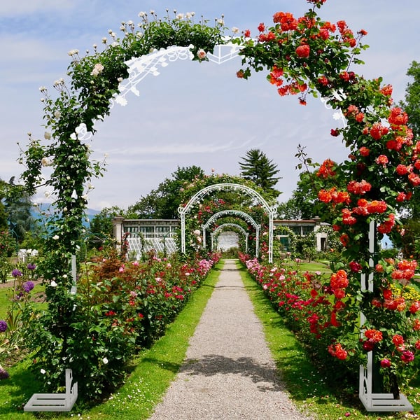 Bryllupsbue Stativ, Elegant Metal Design, Stor Størrelse,HVID, 220x30x240cm