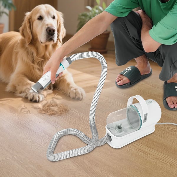 Kæledyrsgrooming kit, 400W motor, 13.000Pa sugeeffekt, 0,33-gallons støvsamler, kompatibel med hunde og katte