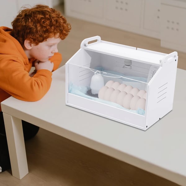 Ägginkubator, Optimal Kläckkapacitet, Användarvänlig Kontroll,VIT