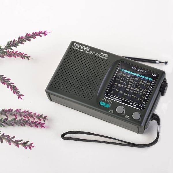 Radio, bærbar, 9 bånd,R909
