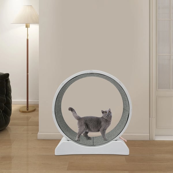 Katte Løbehjul, 31,5 tommer, Plastmateriale, Træningstype, Egnet til Katte, Vægtkapacitet op til 50 lbs