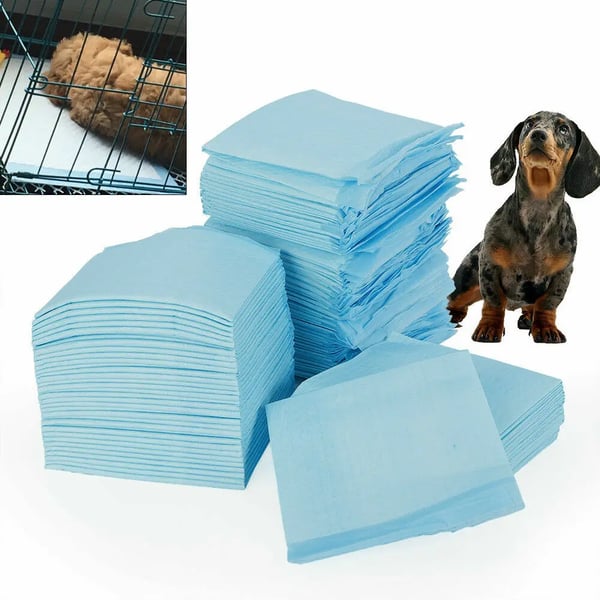 Kæledyrspuder, Non-woven stof, 45 x 33 cm, 100 stk., Blå, Absorberende polymer