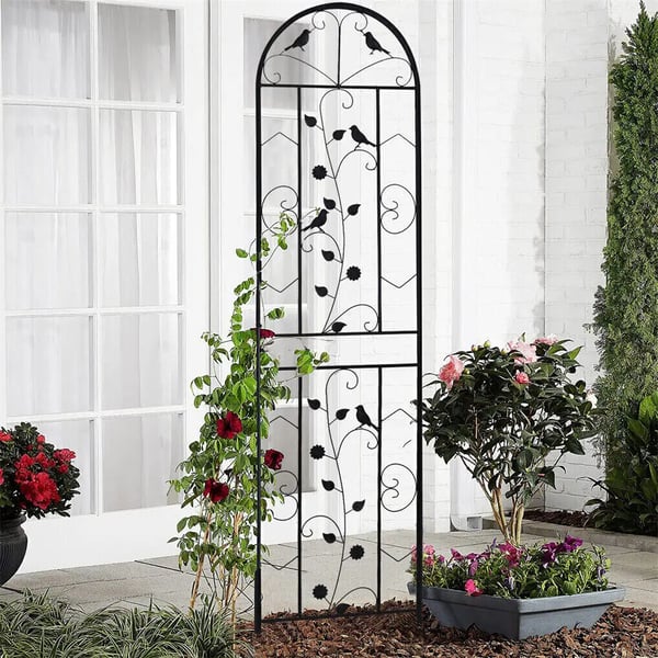 Trellis Havehegn, Holdbar Metal Konstruktion, Nem at Samle,sort