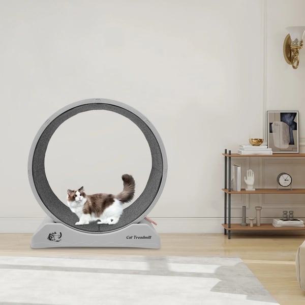 Træningshjul til katte og små hunde, indendørs brug, kompakt design,Grå