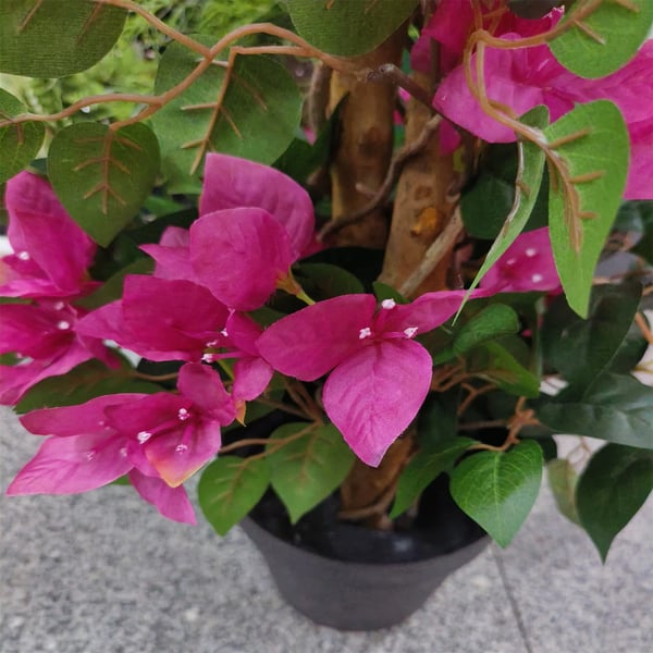 Tekokukka Bougainvillea-puu, Elävän näköinen muotoilu, Vähän huoltoa vaativa,125cm