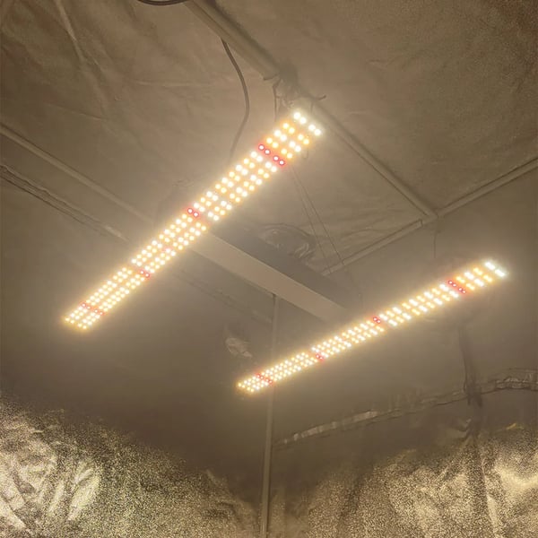 LED Vækstlys, 120W Effektudgang, Justerbar Dæmpningsfunktion,120W