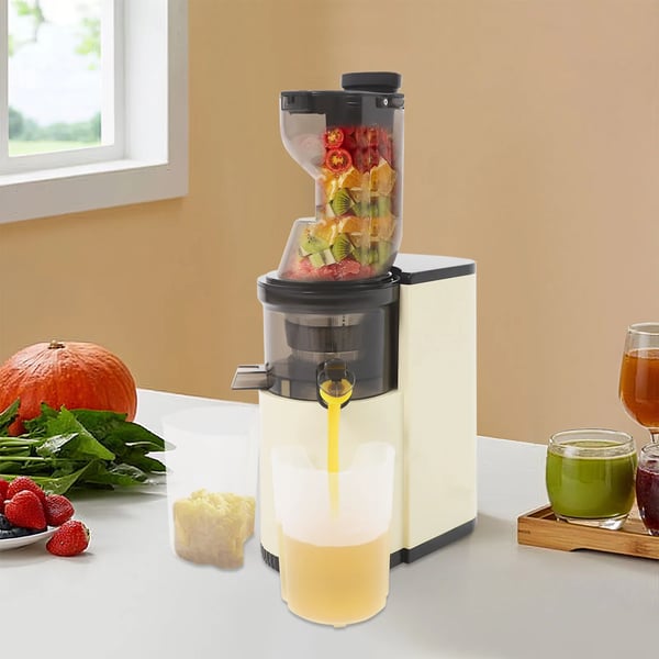 Juice Extractor, 800W Effekt, 500ml Kapacitet, 220V Spænding, 48rpm Hastighed, ABS Materiale
