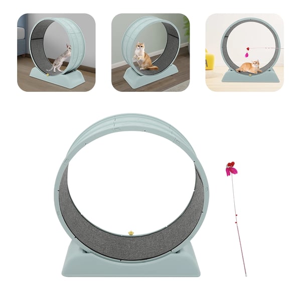 Katte Løbehjul, Sikker Design, Nem Vedligeholdelse,Blå