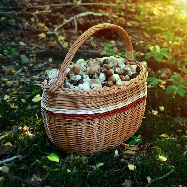 Flettet kurv, Naturlig flettede, Dimensioner: 43 x 30 x 43 cm, Dimensioner: 44 x 41 x 25,5 cm, Dimensioner: 36 x 27 x 28,5 cm