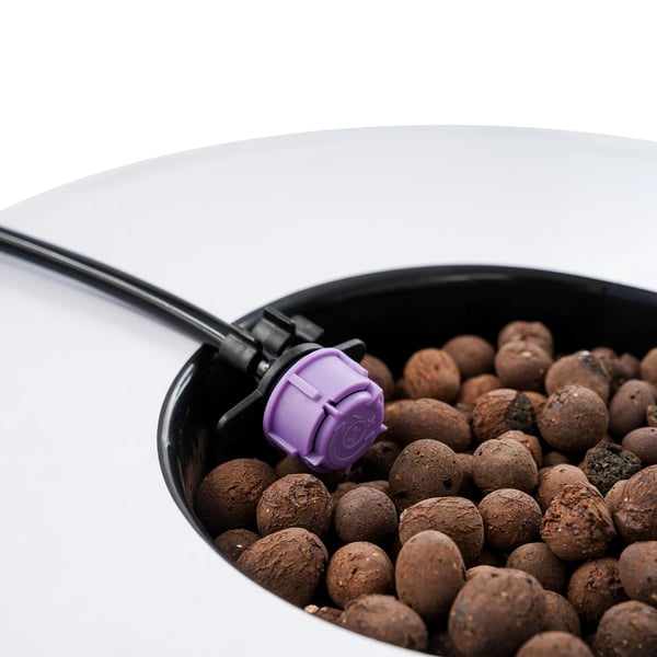 Hydroponisk System, 7 Pot Vækstkapacitet, Høj Effektivitet Luftpumpe,sort