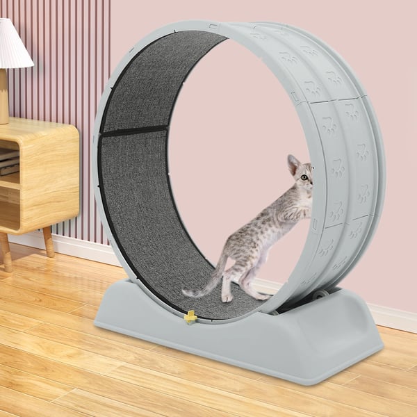 Katte Træningshjul, 80 cm Diameter, 10 kg Kapacitet, 79 x 34 x 84 cm Størrelse, Ultra-Stille Design, Sikkerhedslås