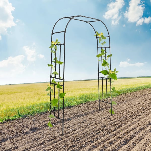 Havebue Trellis, Fritstående Design, Elegant Snoet Mønster,sort