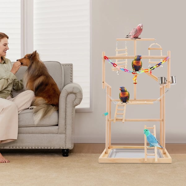 Fuglelegeplads, Bøgetræ, 48*33.5*94.5 cm, Egnet til Små og Mellemstore Fugle, Moderne Design, Samling Påkrævet