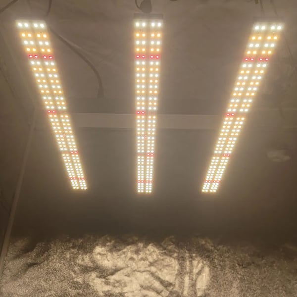 LED-kasvivalo, täysivalo, korkea tehokkuus,180W