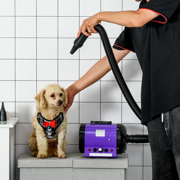 Hundehårtørrer, Justerbar Temperatur, Høj Luftstrøm,Sort
