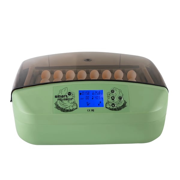Automatisk Æg Incubator, 32-Æg Kapacitet, 360° Automatisk Drejning, Justerbar Temperatur