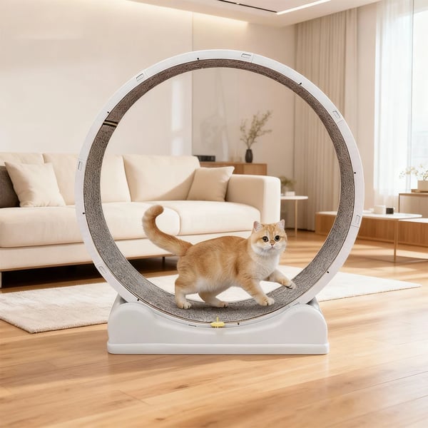 Kattträningshjul, Tyst drift, Säker broms,Grå