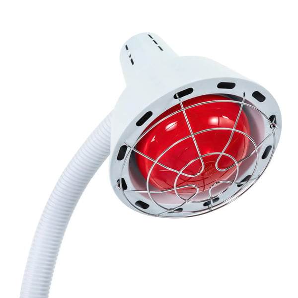 Infrarød Terapi Lampe, Justerbar Temperatur, Bekvem Mobilitet,Rød
