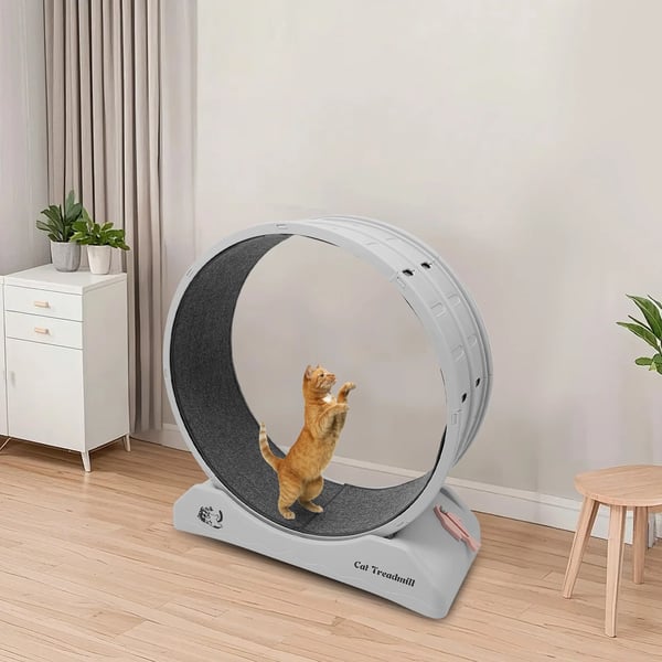 Træningshjul til katte og små hunde, indendørs brug, kompakt design,Grå