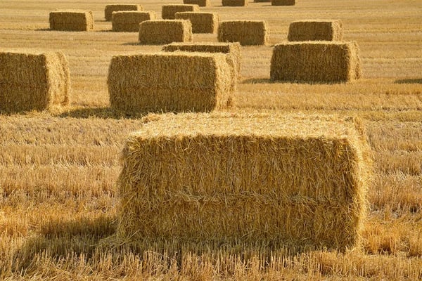 Raffia Garn, 100% Polypropylen, 5,5 kg Spole, Ca. 280 Lineære Meter, Frost- og Fugtbestandig, Ikke-Toksisk
