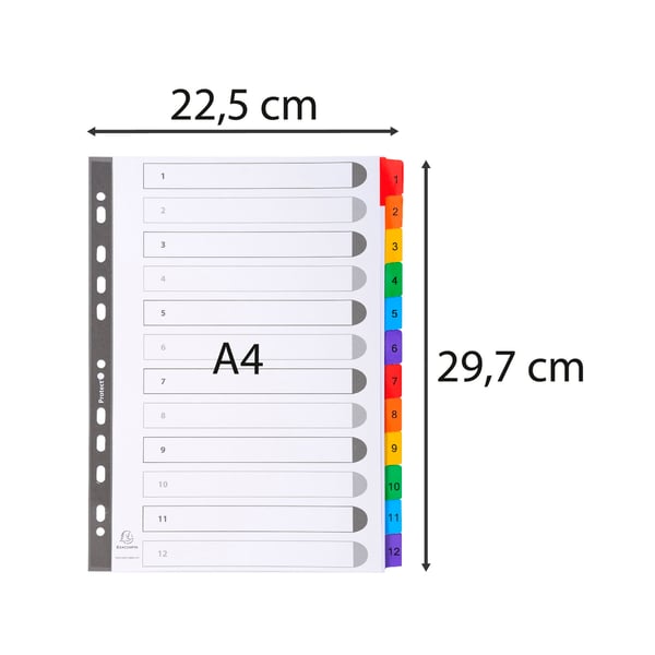 Exacompta 20x Mylar trykte indekser, A4, 12 del 1 til 12 - hvid 1112E