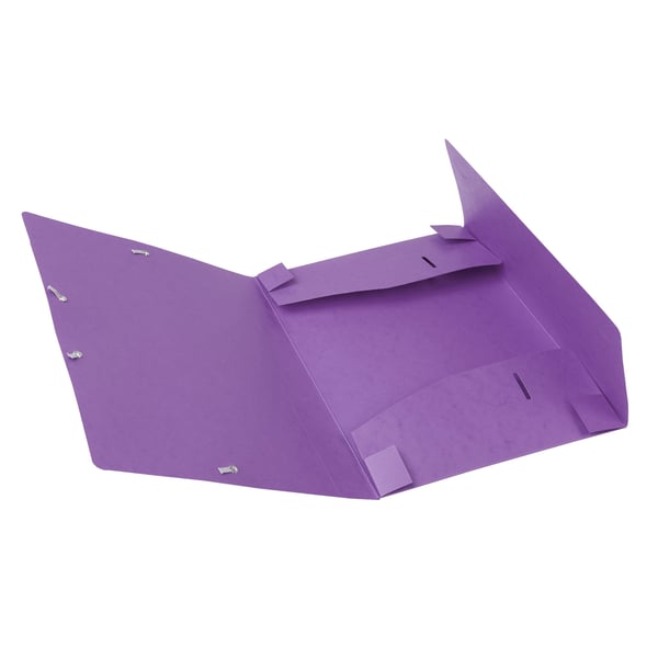 Exacompta 10x Cartobox arkiveringsboks, 600gsm, 40mm rygrad, A4 - Lilla 14015H